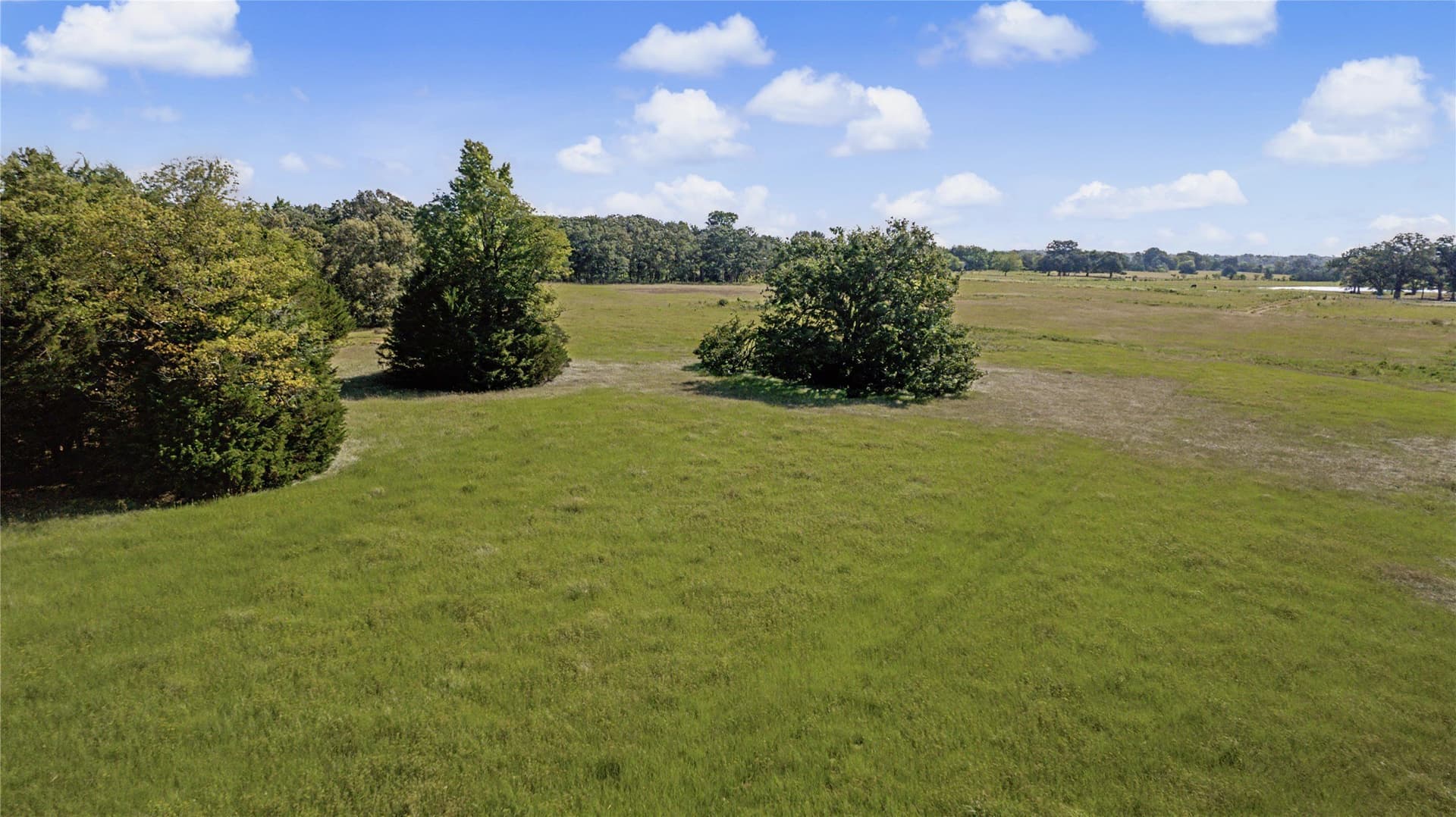 92 acres in Van Zandt County - photo 8
