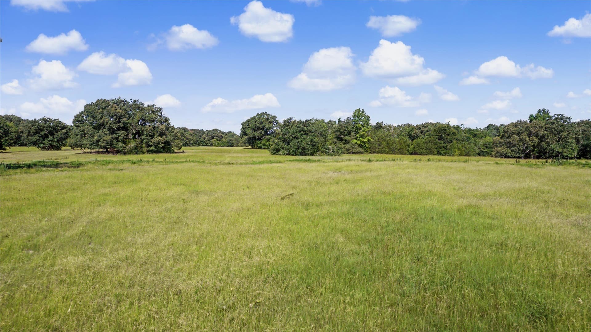 92 acres in Van Zandt County - photo 31