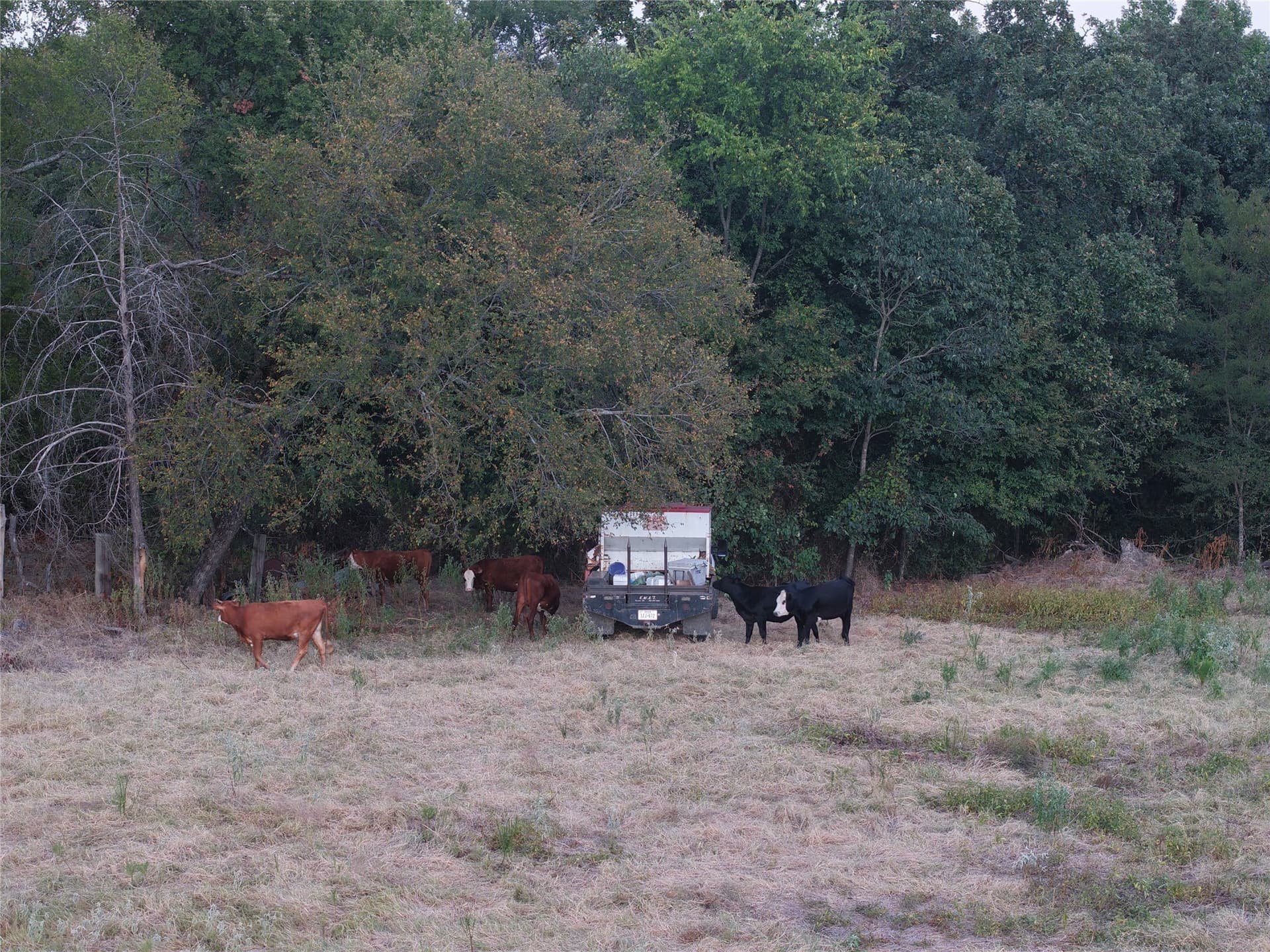92 acres in Van Zandt County - photo 33