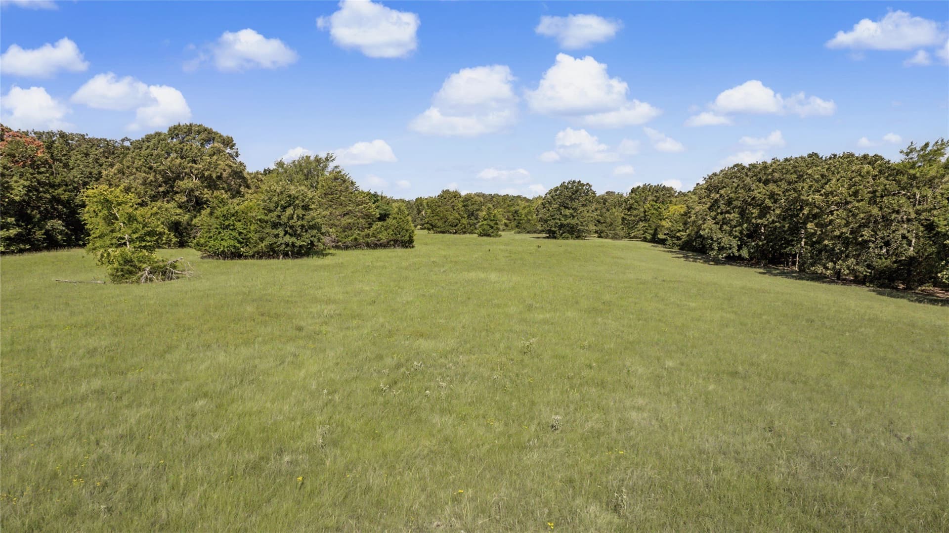 92 acres in Van Zandt County - photo 9