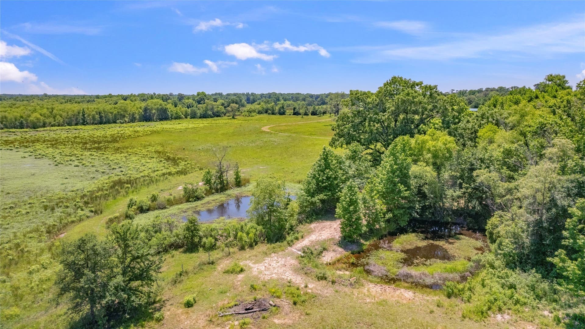 70.17 acres in Henderson County - photo 19
