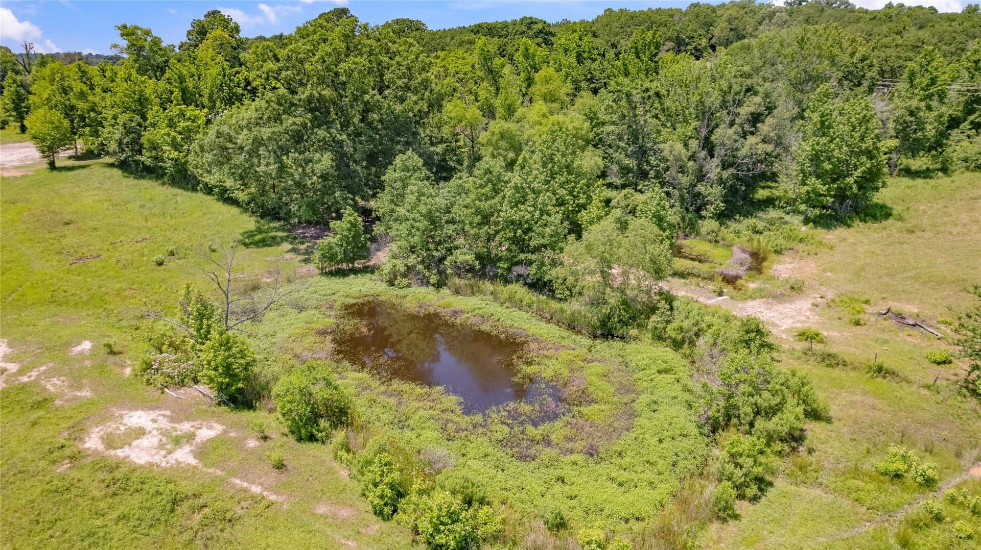 70.17 acres in Henderson County - photo 22