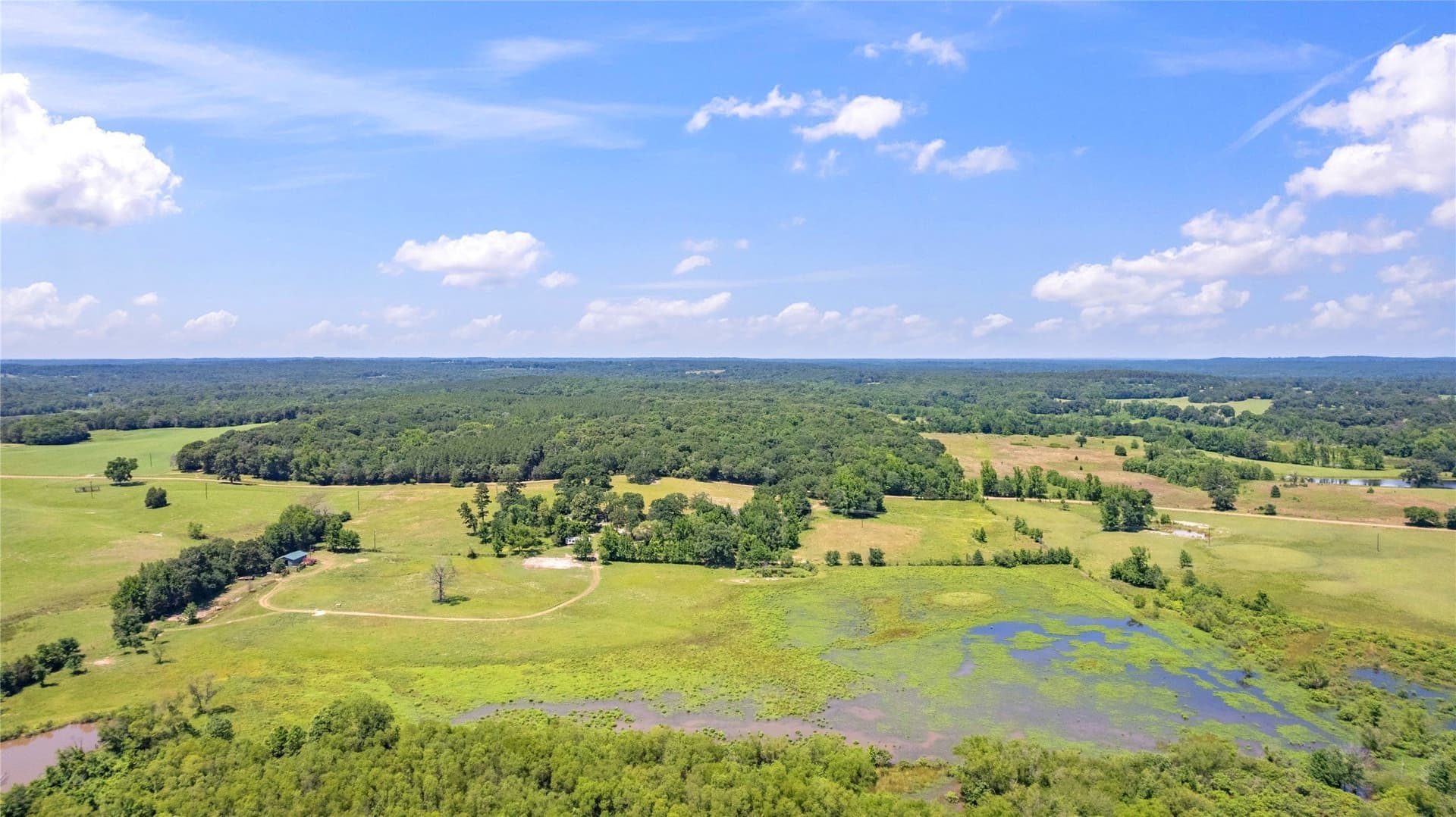 70.17 acres in Henderson County - photo 6