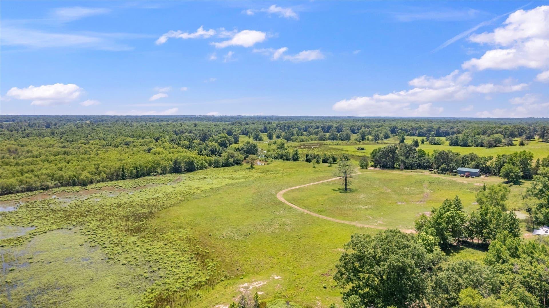 70.17 acres in Henderson County - photo 17