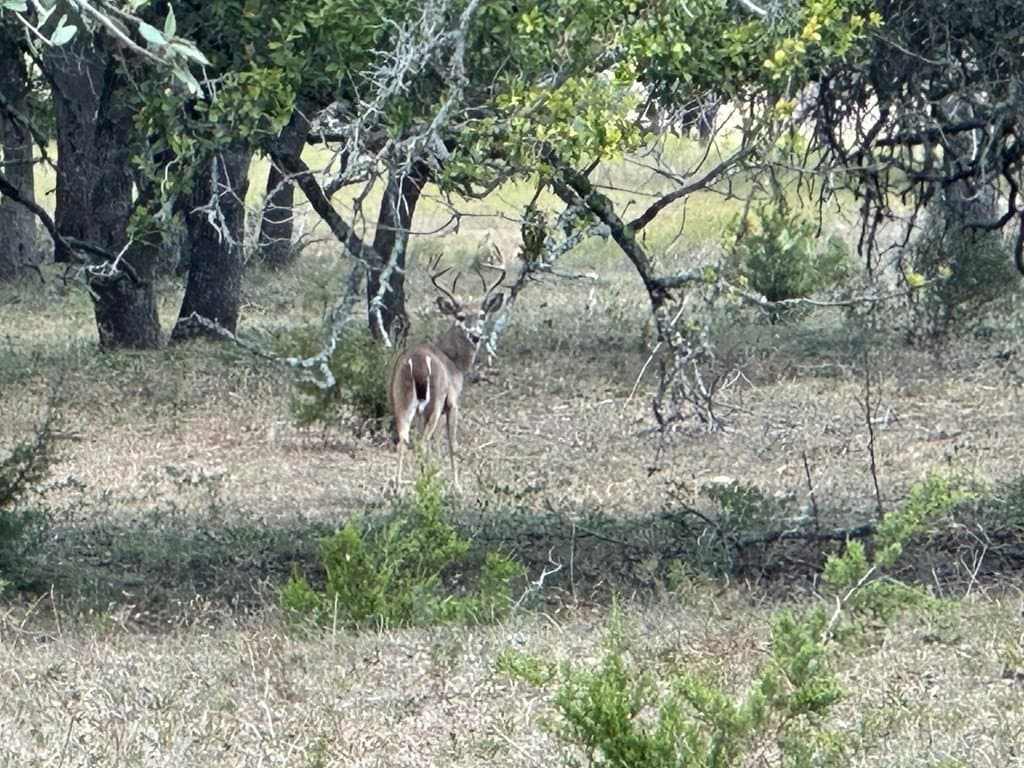 11.23 acres in Gillespie County - photo 10