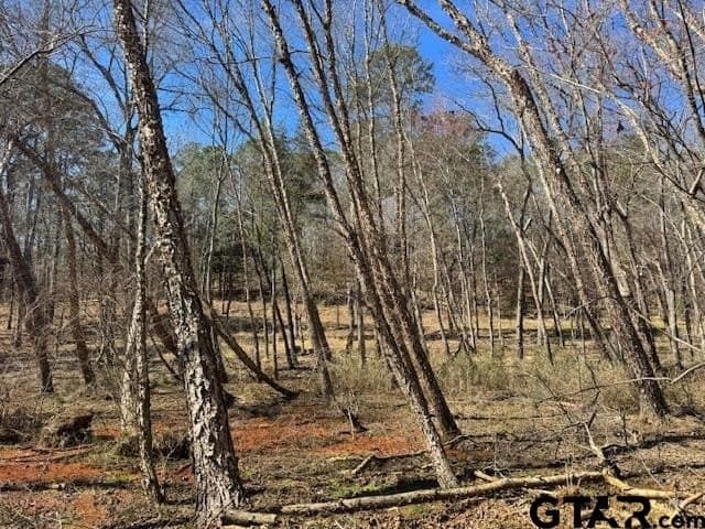 4.28 acres in Anderson County - photo 8