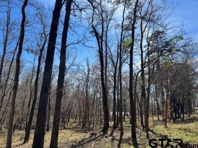 4.28 acres in Anderson County - photo 2