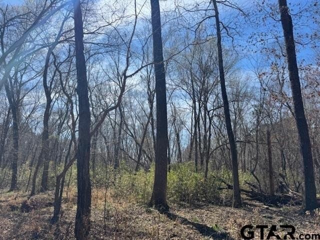 4.28 acres in Anderson County - photo 7