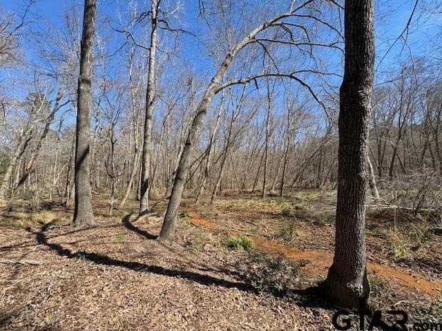 4.28 acres in Anderson County - photo 5