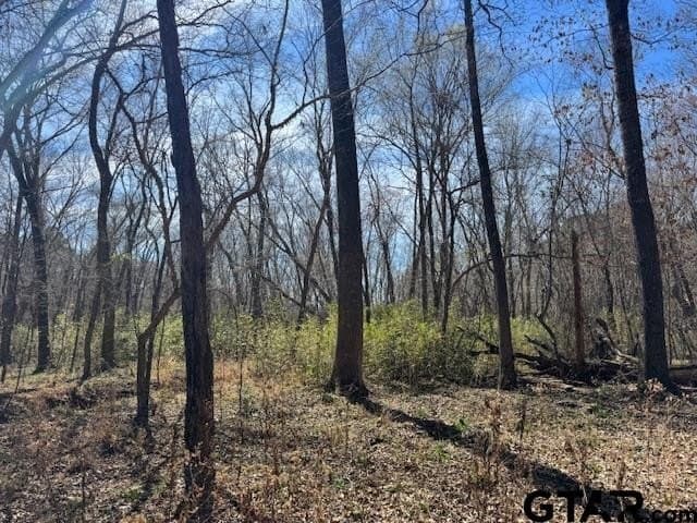 4.28 acres in Anderson County - photo 6