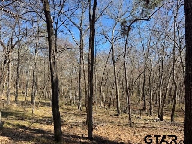 4.28 acres in Anderson County - photo 3
