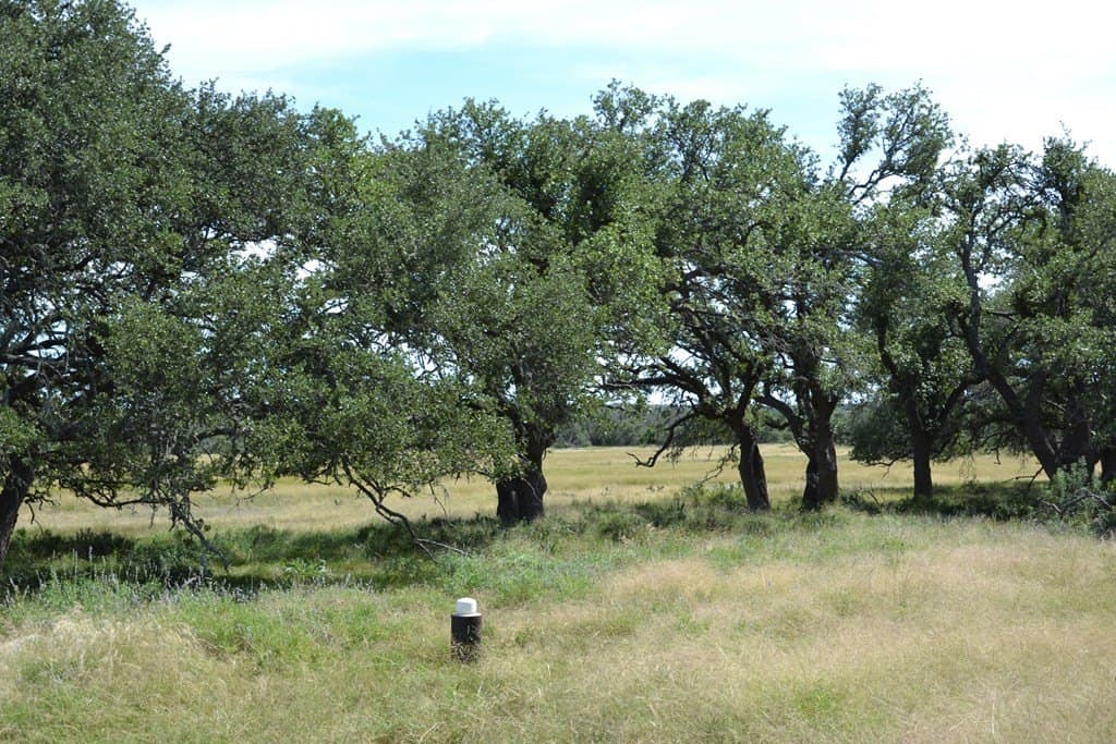 22.59 acres in Gillespie County - photo 30