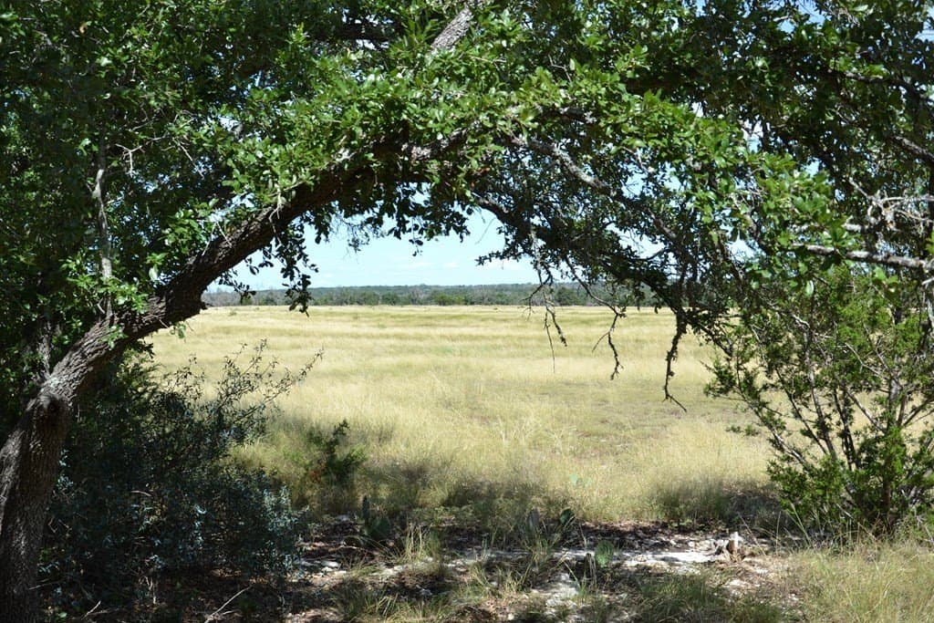 22.59 acres in Gillespie County - photo 20