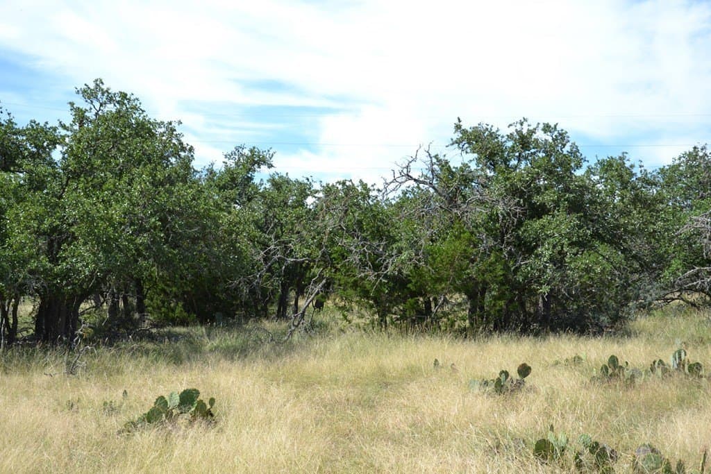 22.59 acres in Gillespie County - photo 21