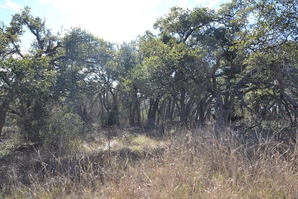 22.59 acres in Gillespie County - photo 8