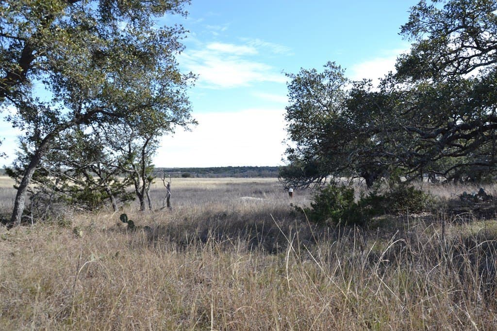 22.59 acres in Gillespie County - photo 10