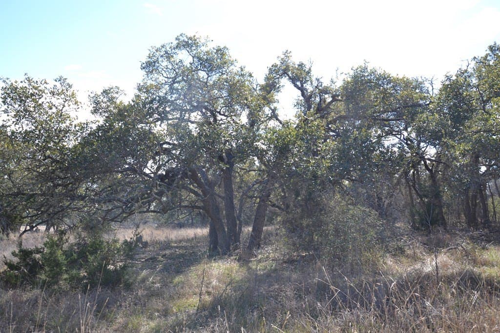 22.59 acres in Gillespie County - photo 9