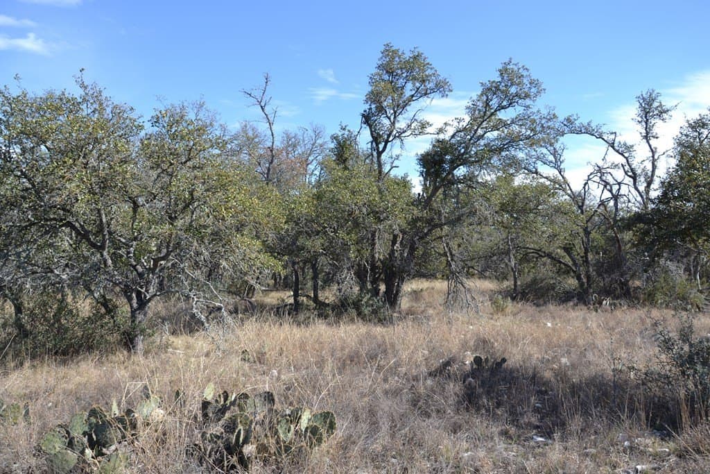 22.59 acres in Gillespie County - photo 13