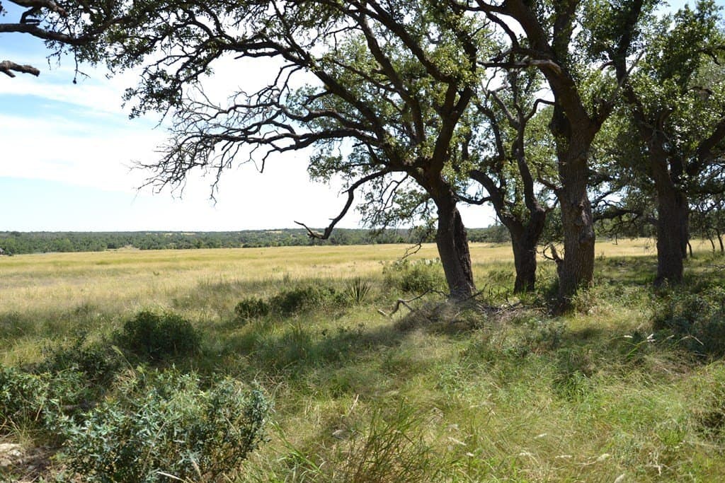 22.59 acres in Gillespie County - photo 27