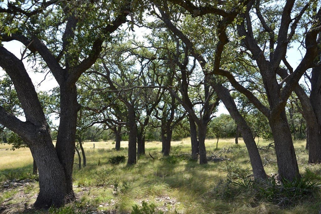22.59 acres in Gillespie County - photo 24