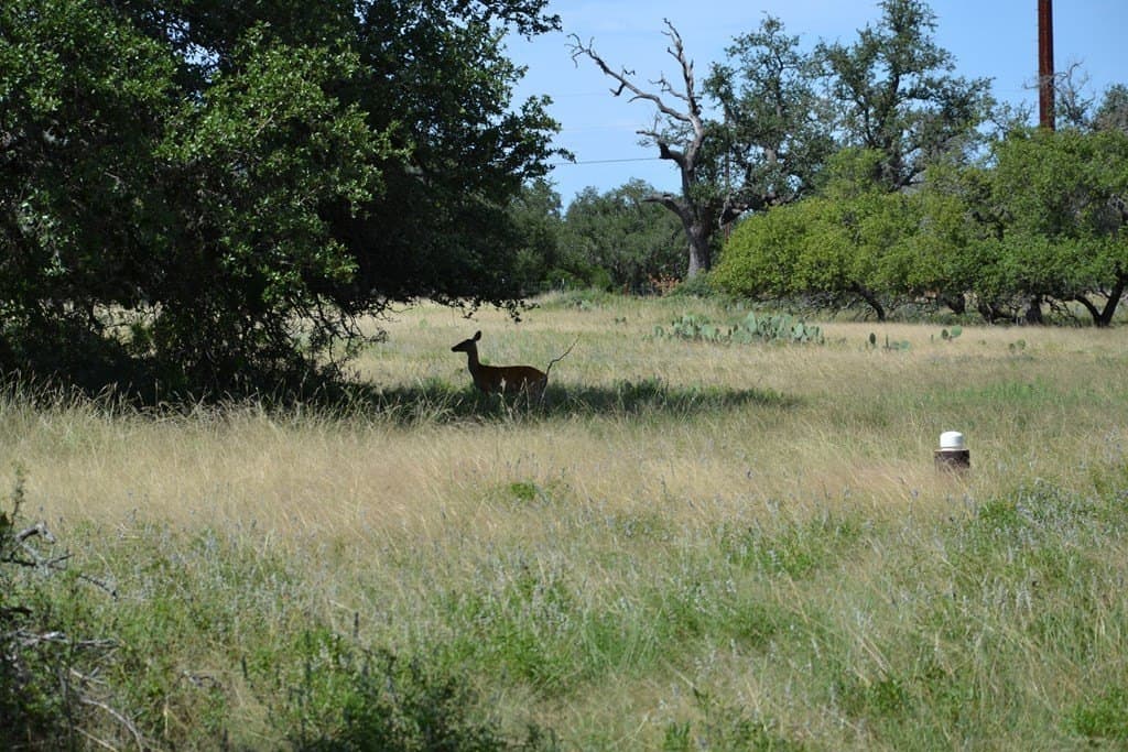 22.59 acres in Gillespie County - photo 25