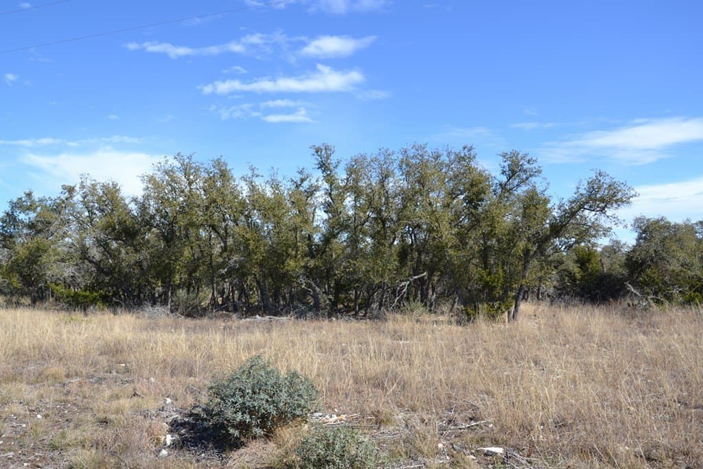 22.59 acres in Gillespie County - photo 16