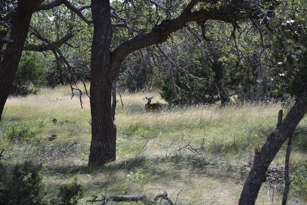 22.59 acres in Gillespie County - photo 28