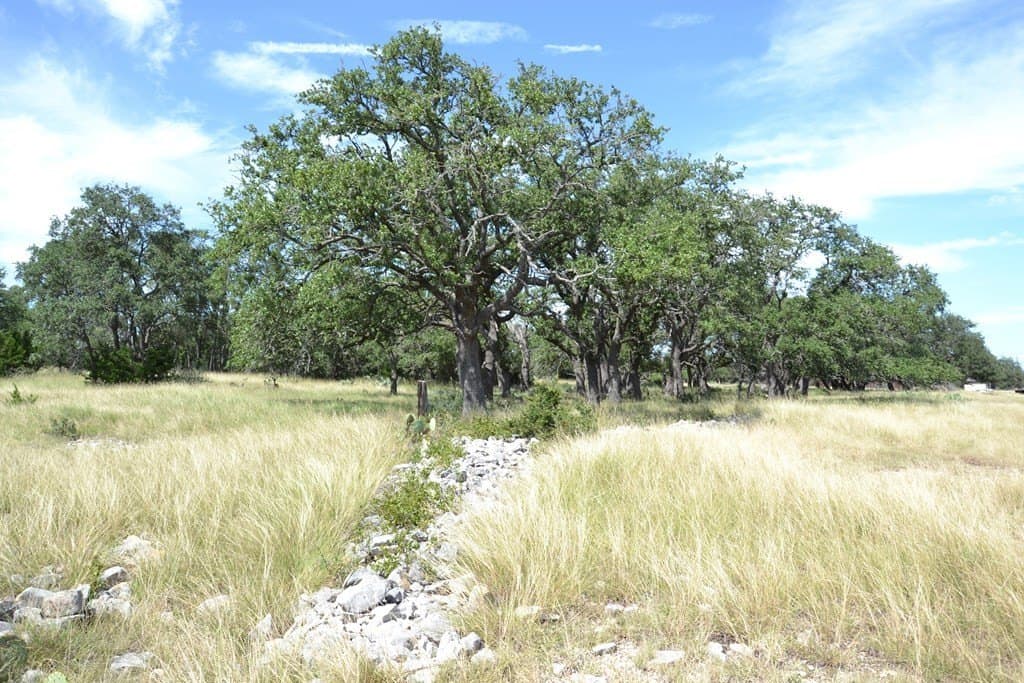 22.59 acres in Gillespie County - photo 22