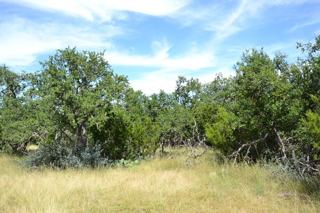 22.59 acres in Gillespie County - photo 19