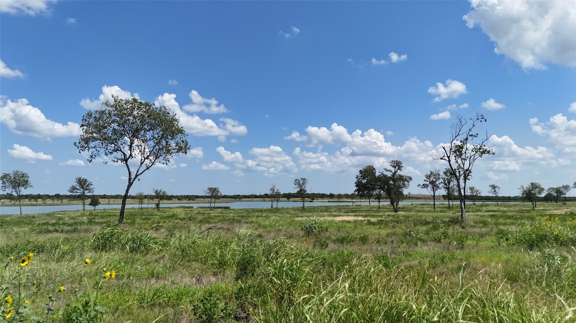 2.45 acres in Navarro County - photo 33