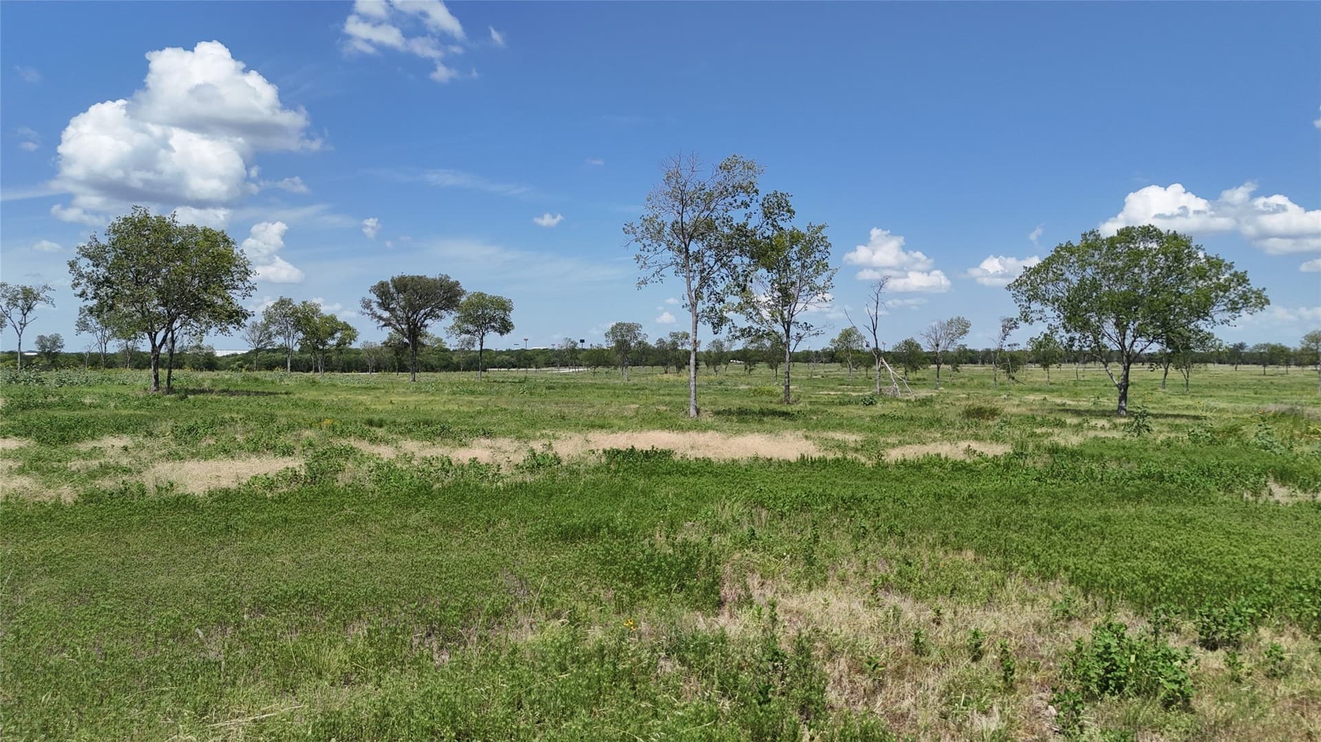 2.45 acres in Navarro County - photo 38