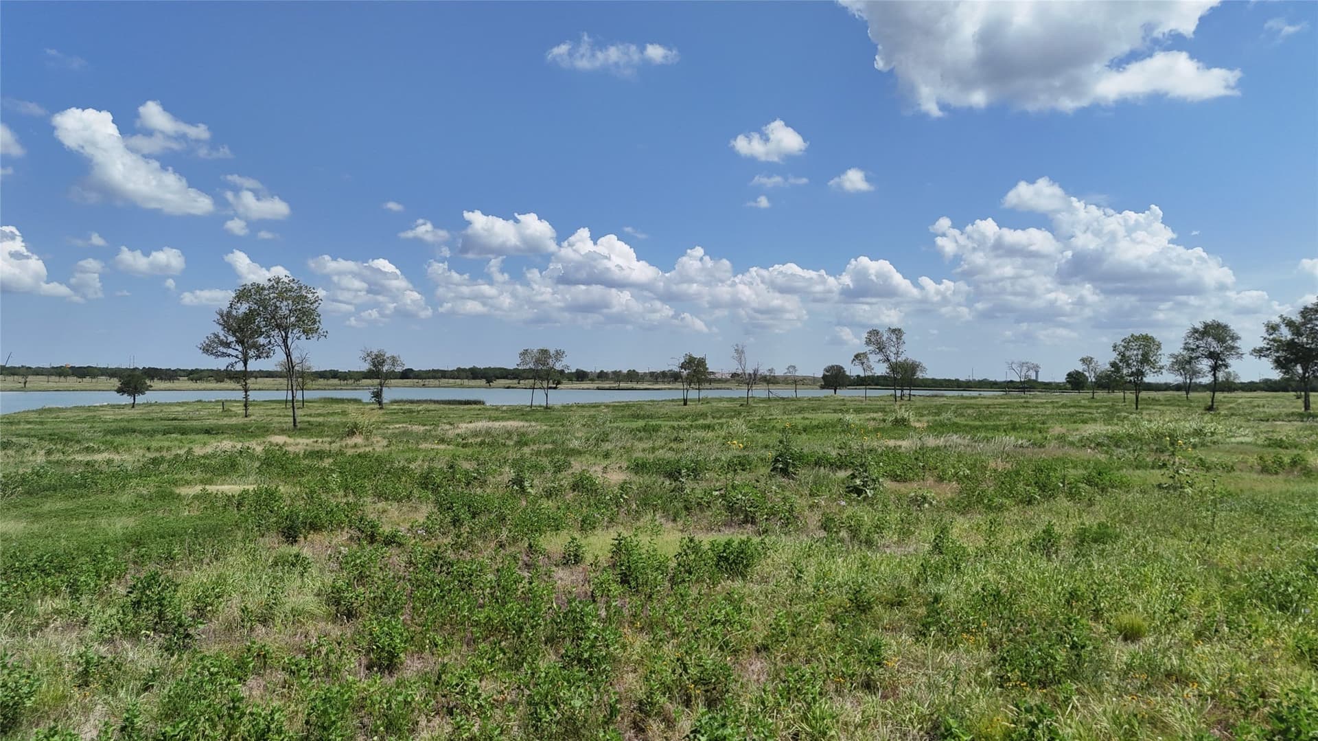 2.45 acres in Navarro County - photo 27