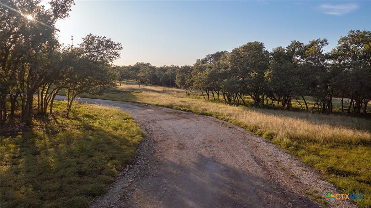 98.73 acres in Blanco County gallery image 4