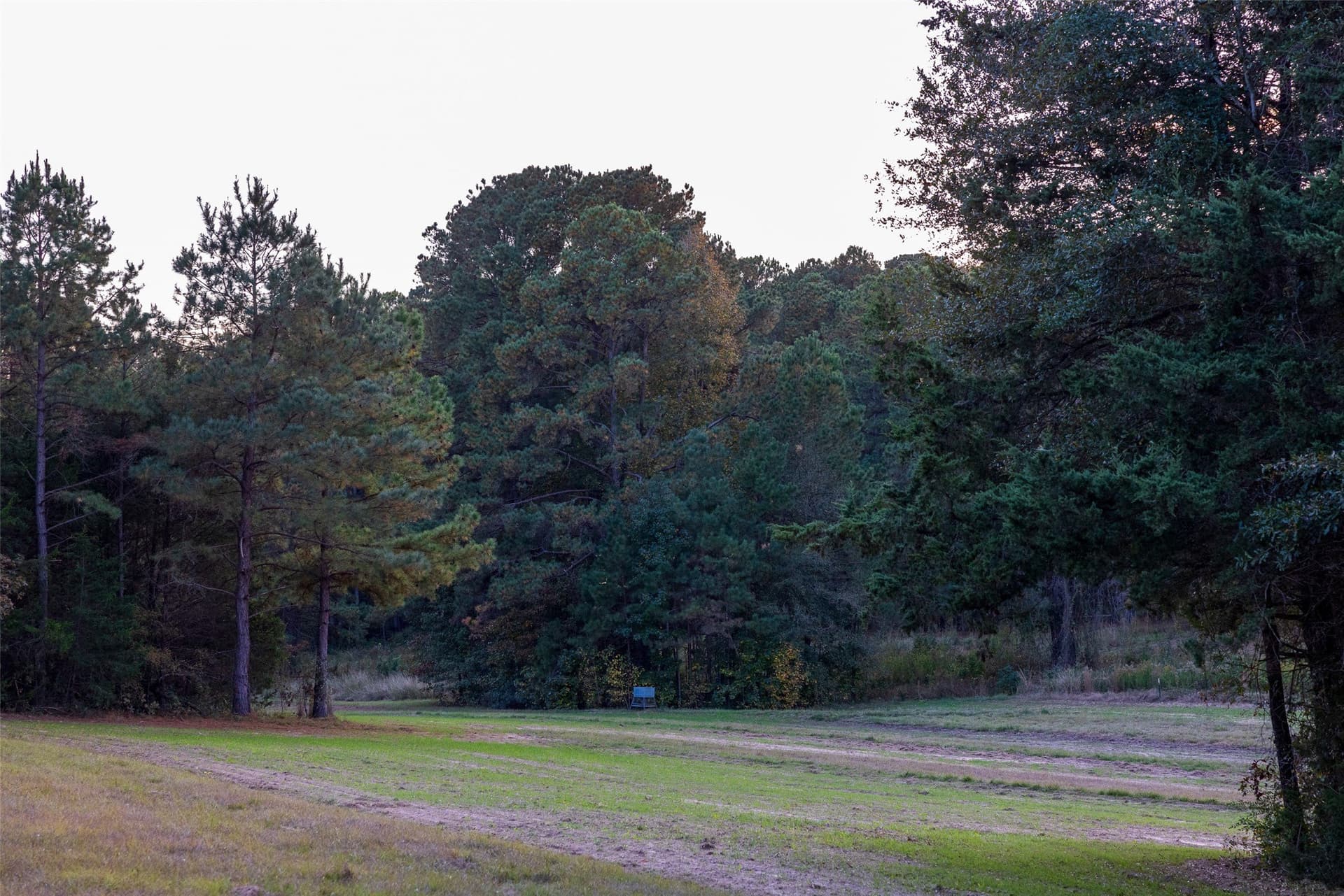 36.91 acres in Cherokee County - photo 15