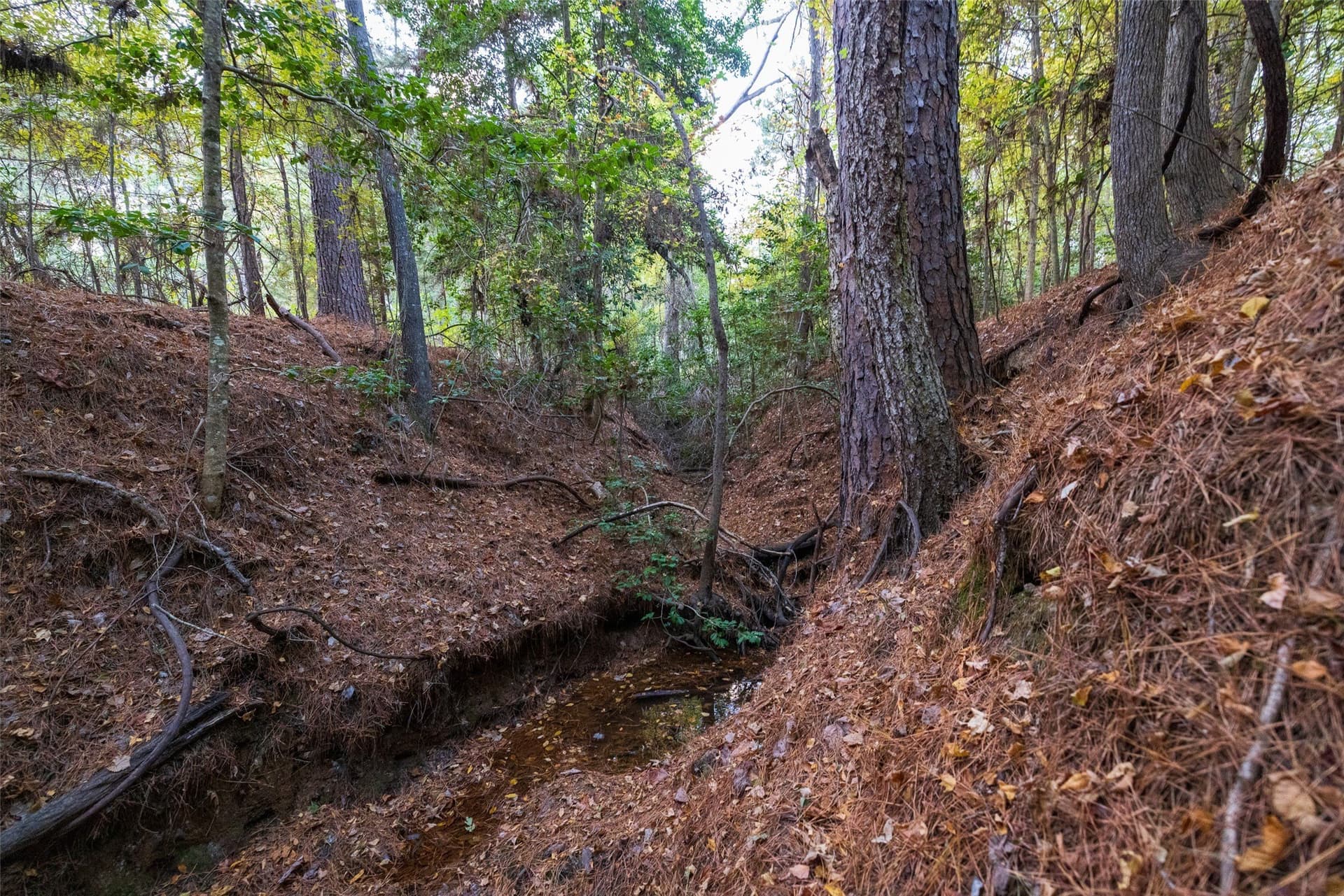 36.91 acres in Cherokee County - photo 3