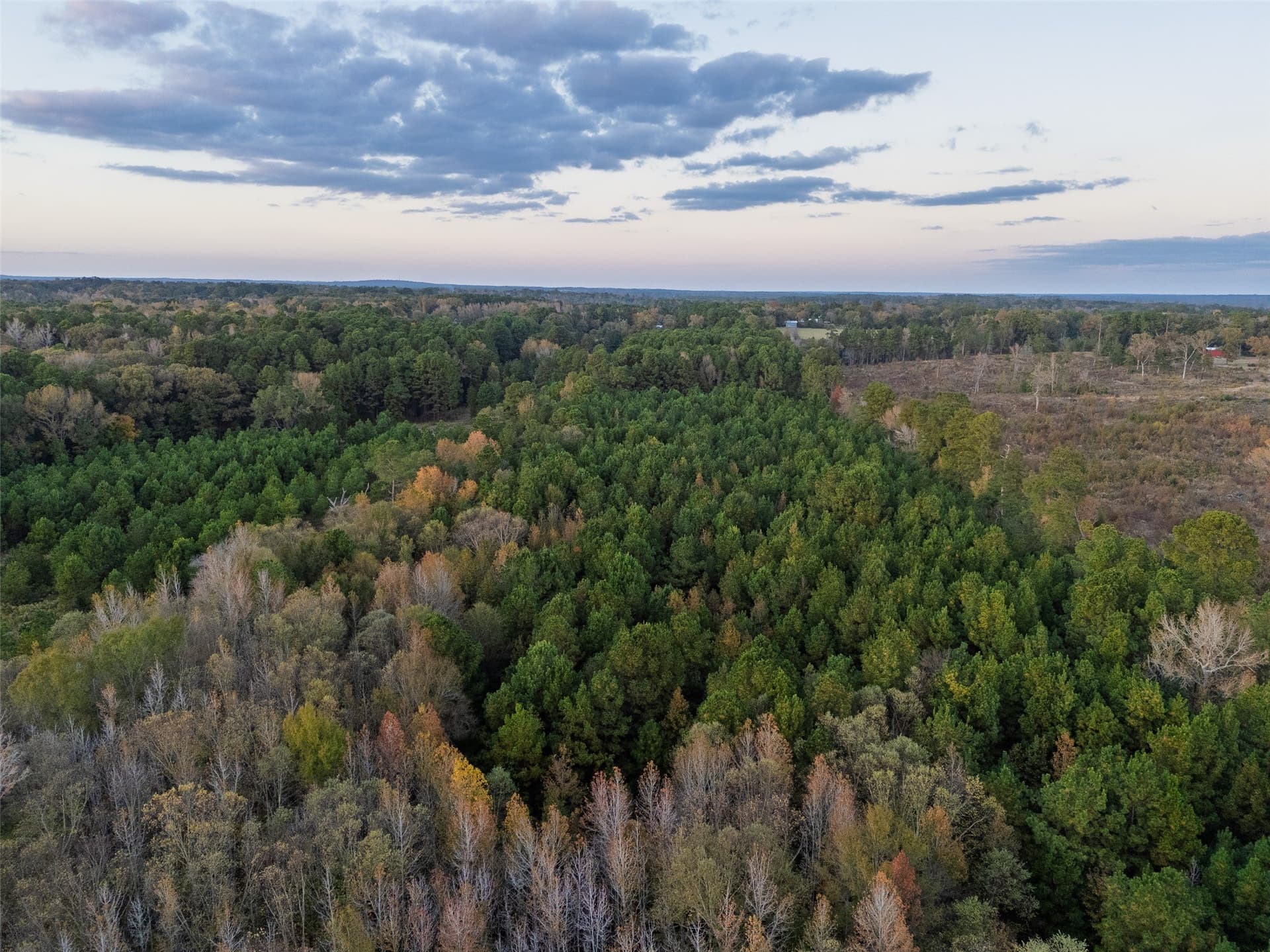 36.91 acres in Cherokee County - photo 6