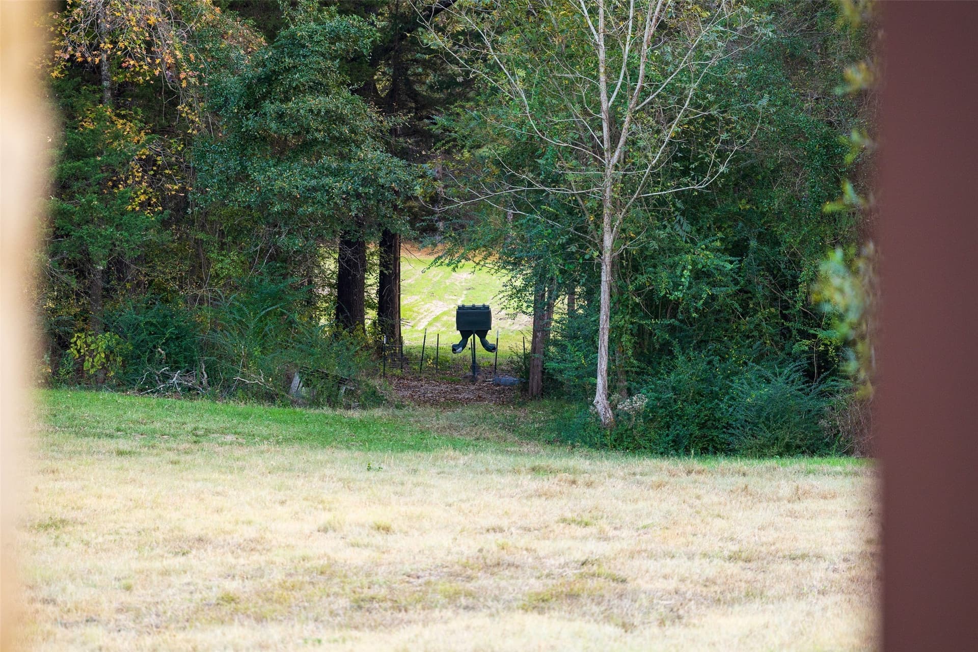 36.91 acres in Cherokee County - photo 34