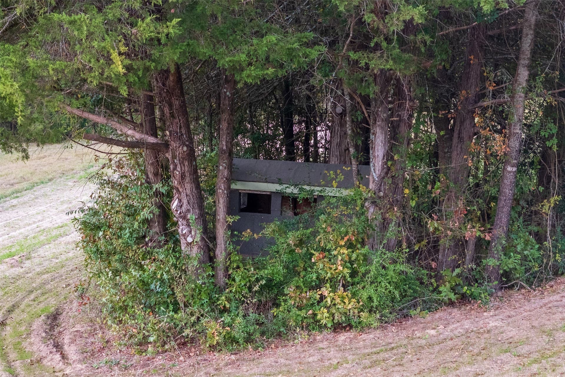 36.91 acres in Cherokee County - photo 4