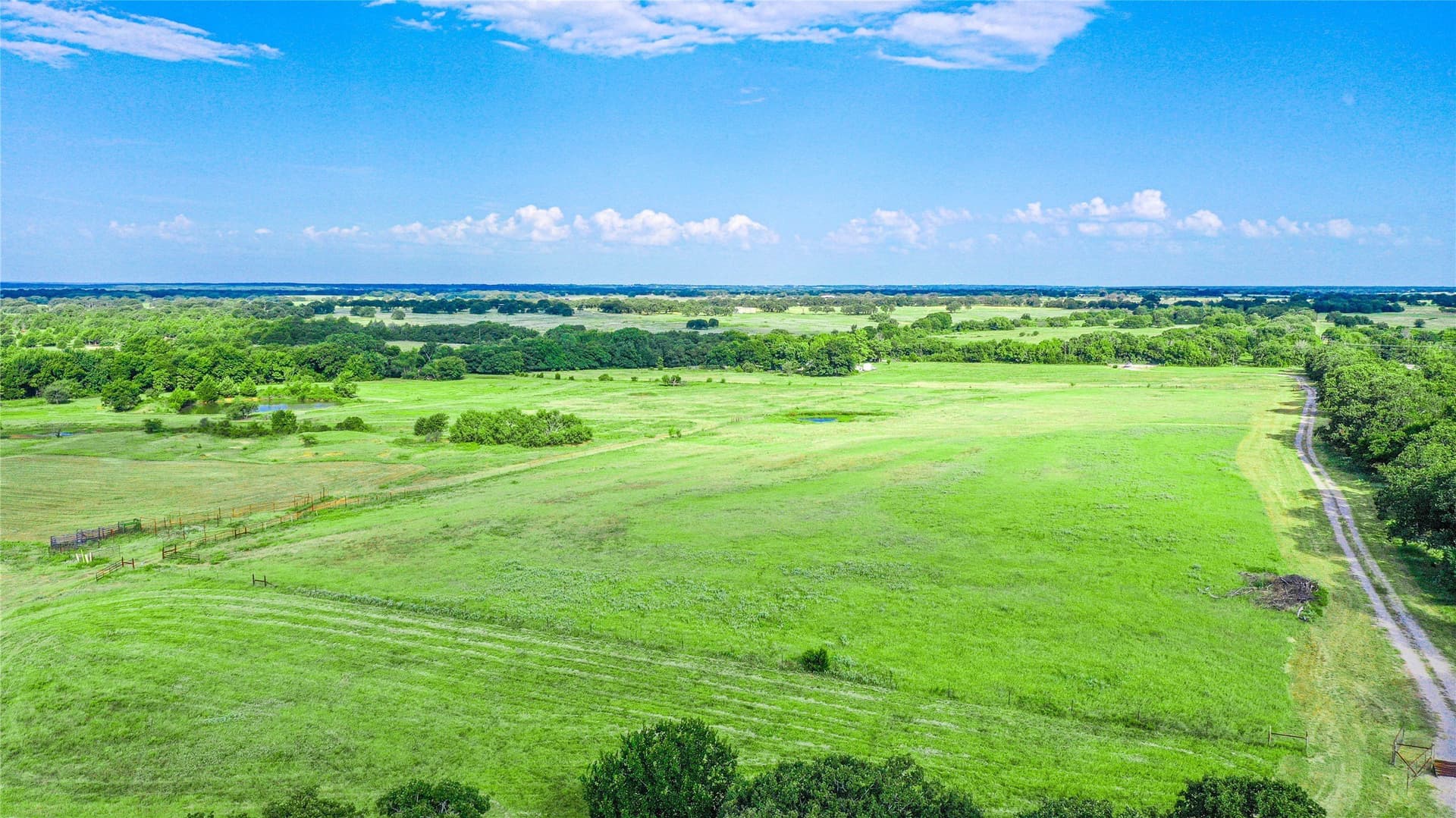 73.19 acres in Montague County gallery image 3