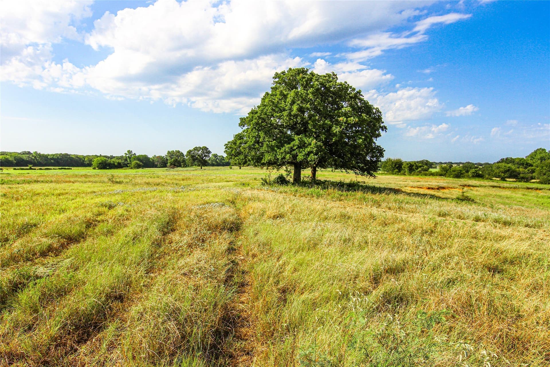 73.19 acres in Montague County - photo 15