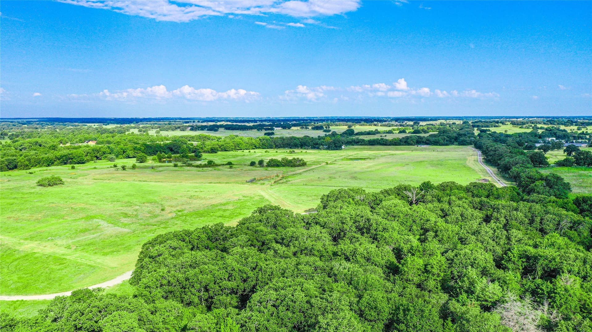 73.19 acres in Montague County gallery image 2