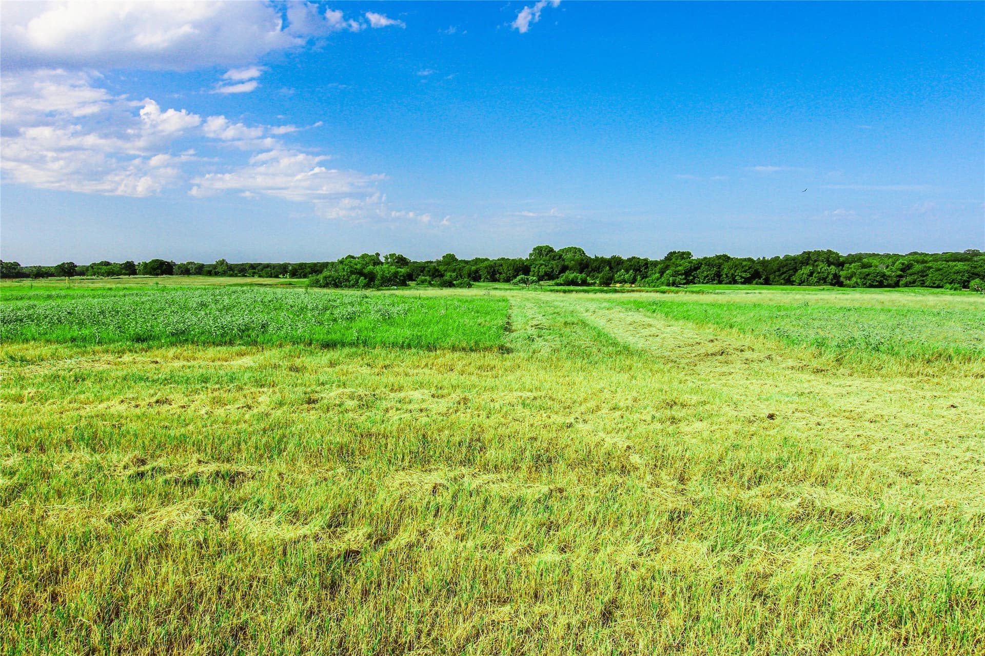 73.19 acres in Montague County - photo 13