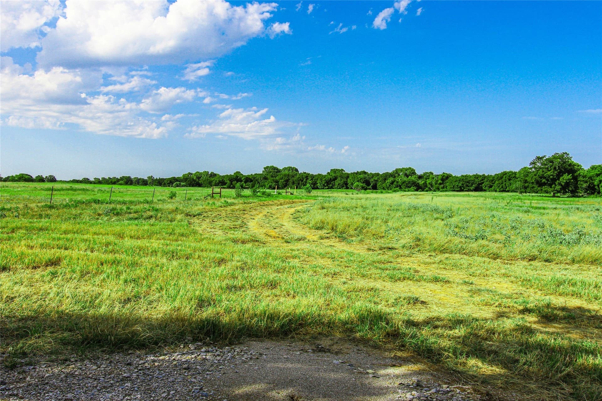 73.19 acres in Montague County - photo 12