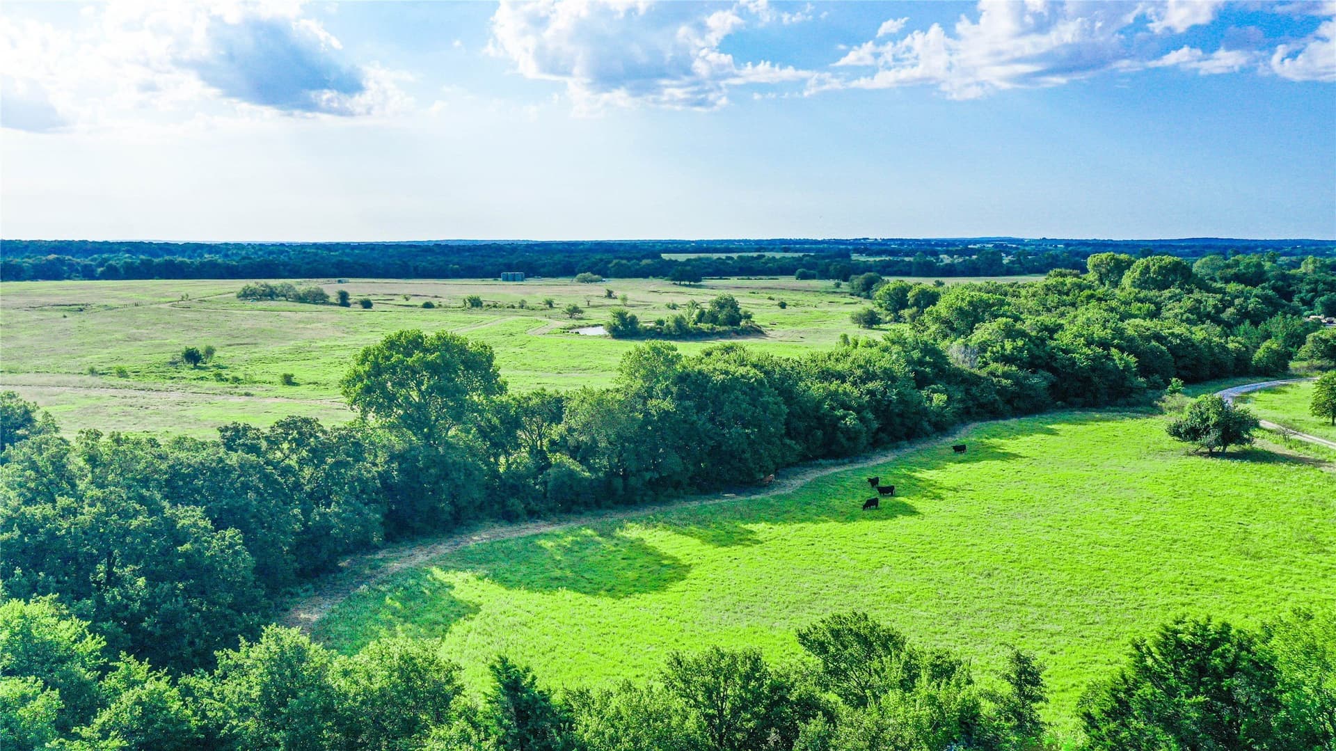 73.19 acres in Montague County - photo 17