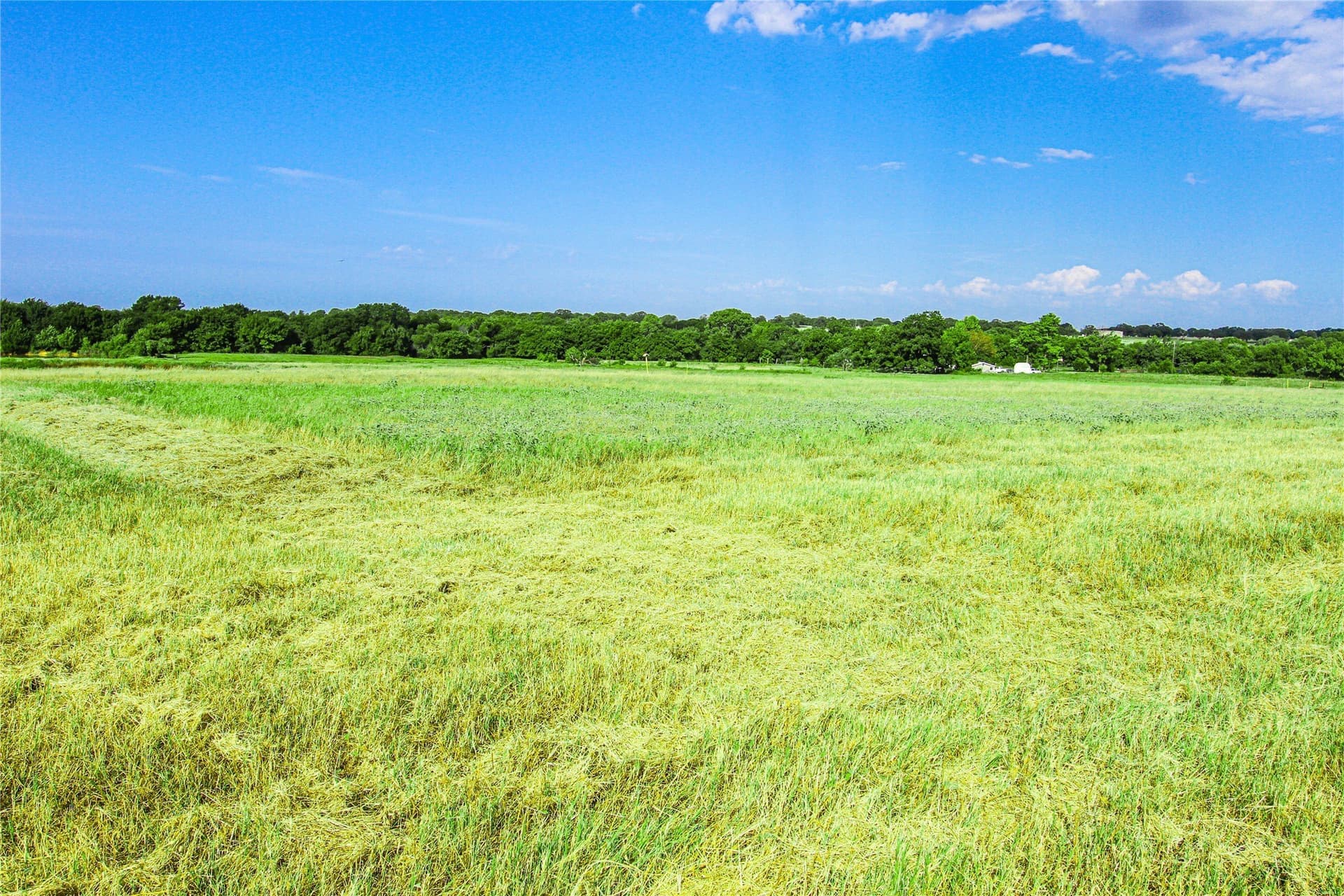 73.19 acres in Montague County - photo 14