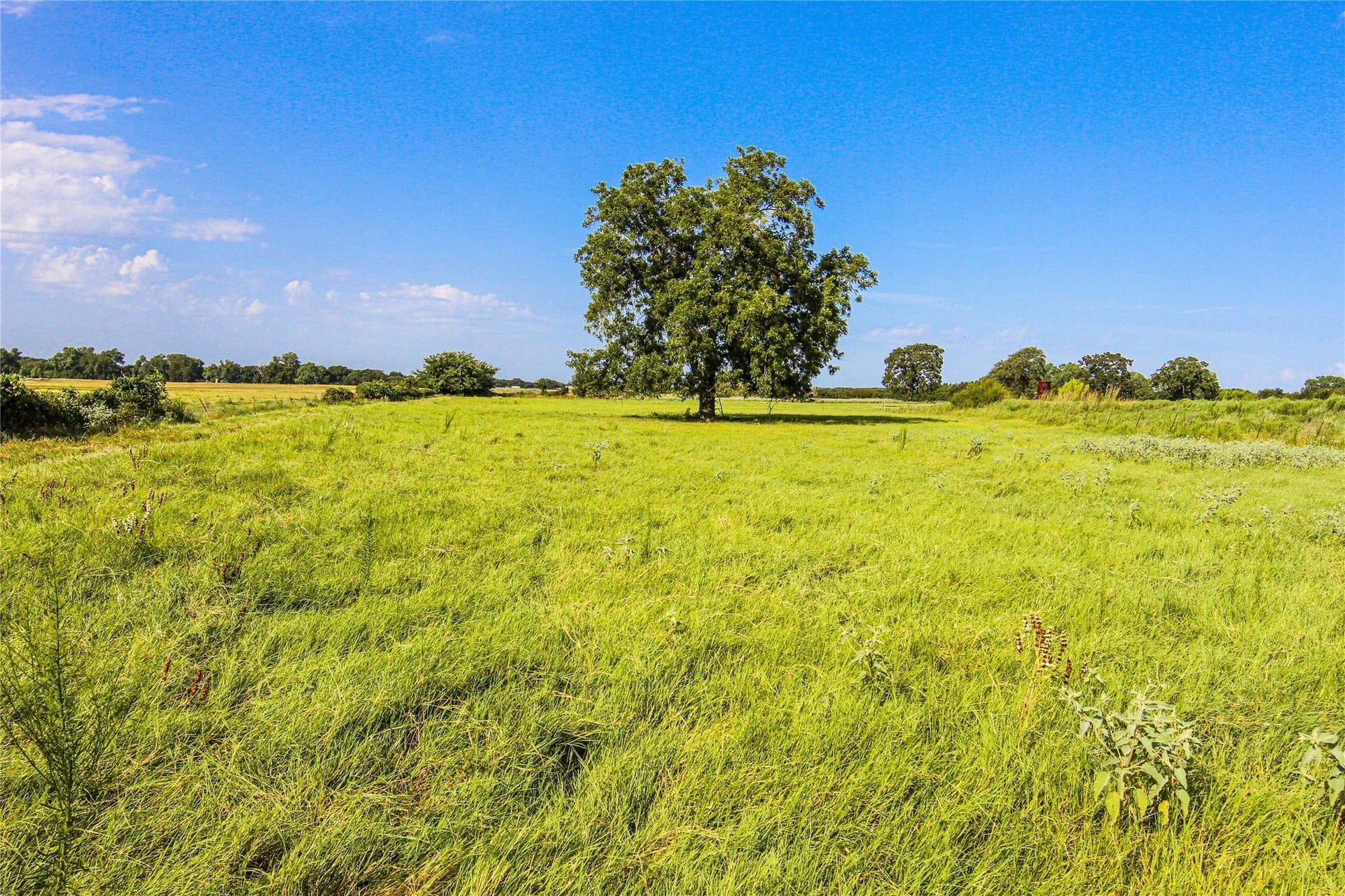73.19 acres in Montague County - photo 16