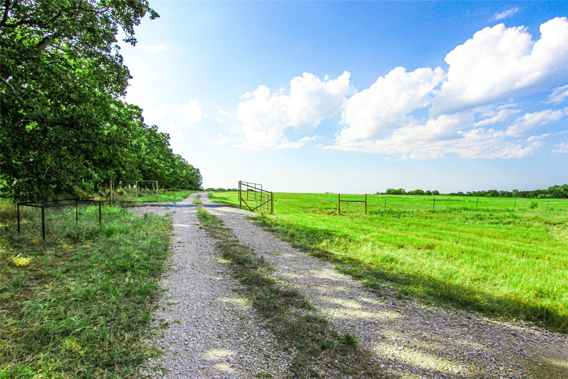 73.19 acres in Montague County - photo 8