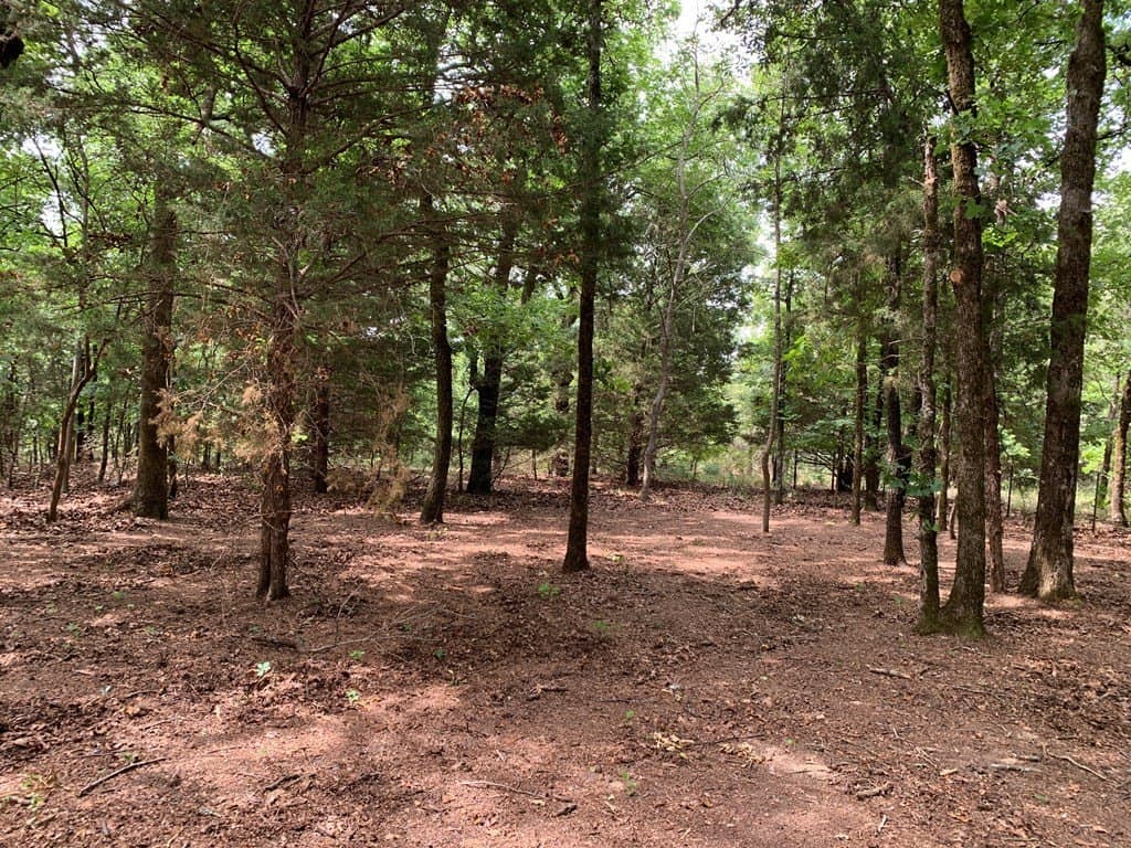 6.66 acres in Henderson County - photo 11