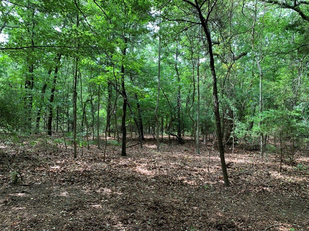 6.66 acres in Henderson County - photo 10