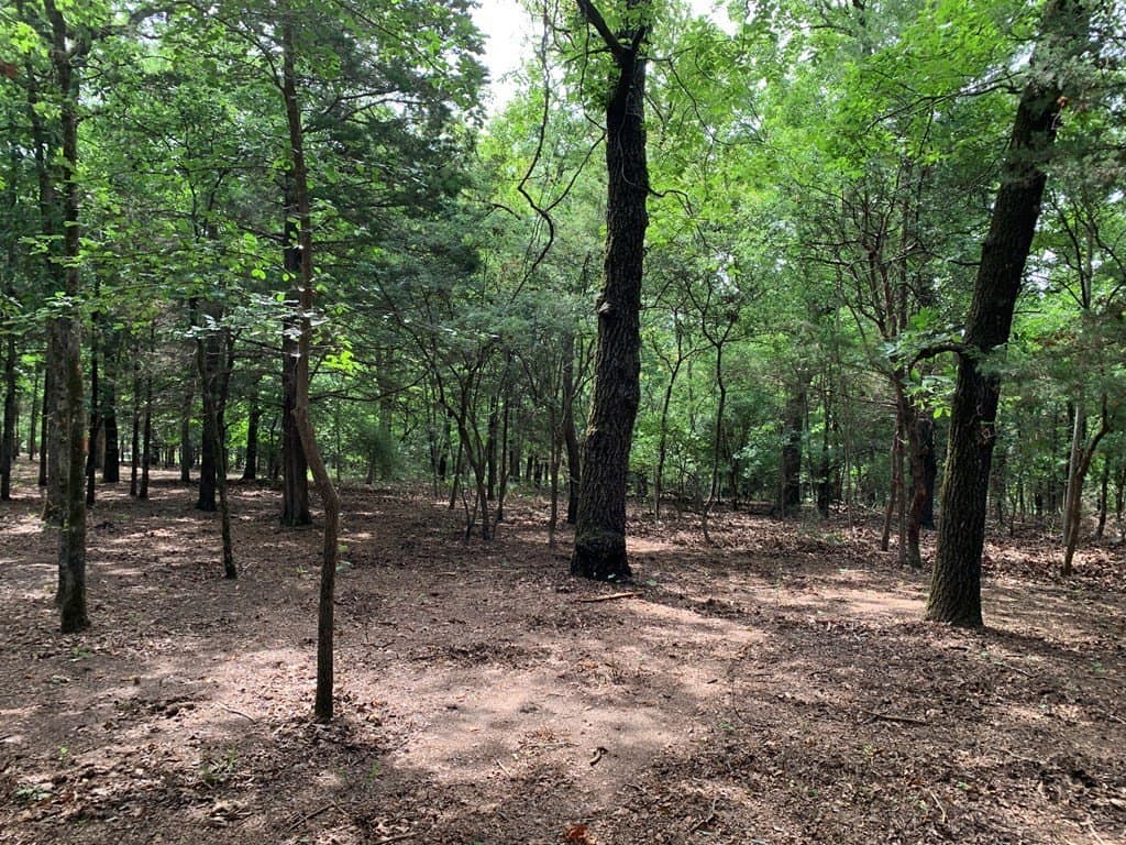 6.66 acres in Henderson County - photo 12